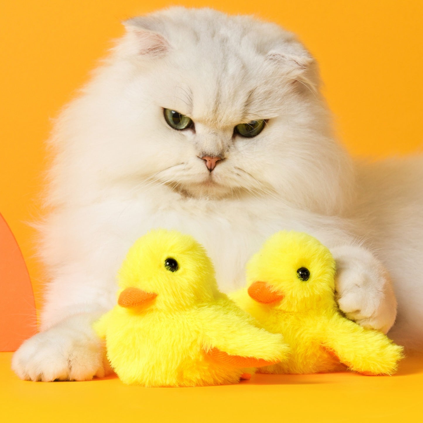 Pawbola Flapping Wings Duck