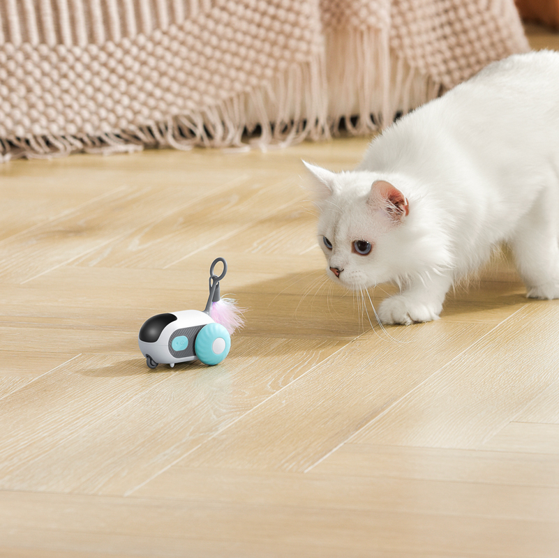 Pawbola Remote Control Chase Car Smart Cat Toy