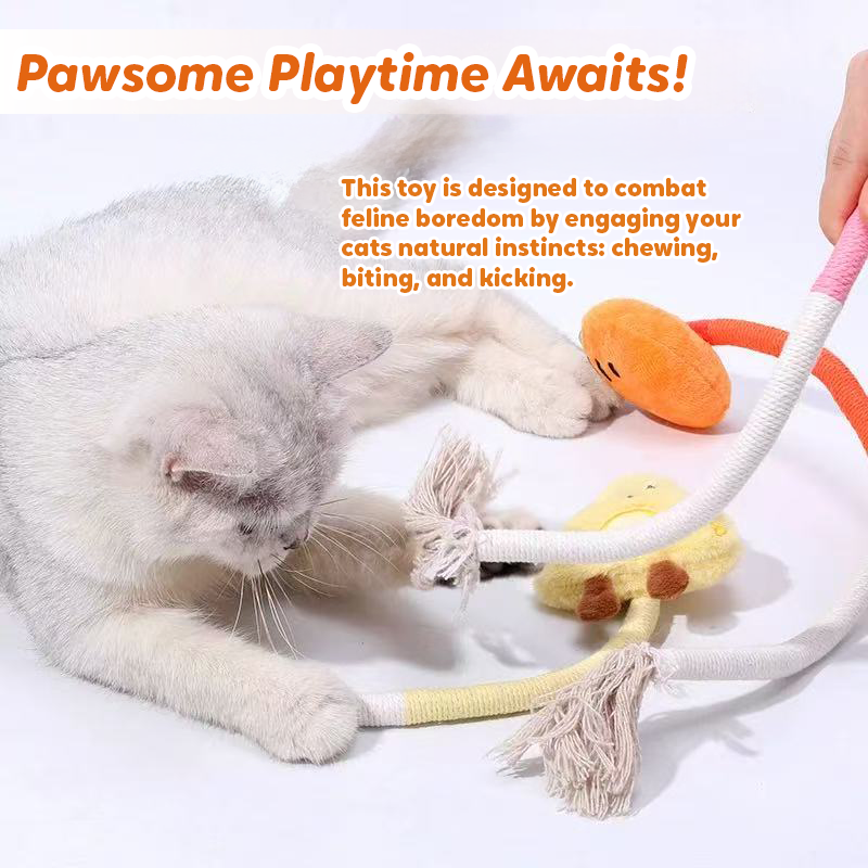 Pawbola Cheese and Carrot Catnip Cotton Chew Rope (2 Count)