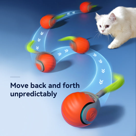 Pawbola Fast Rolling Ball with Tail
