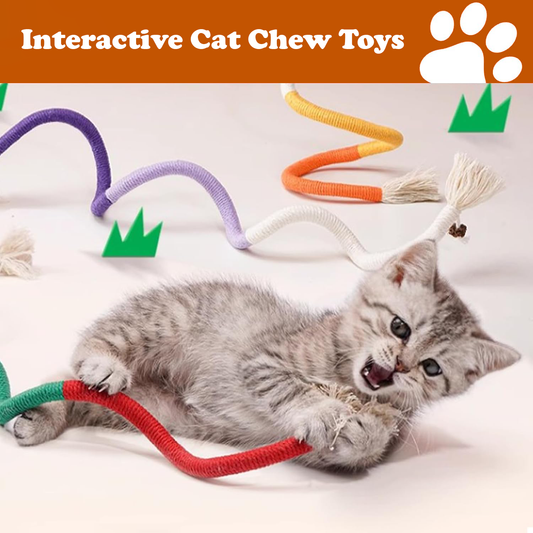 Pawbola Cat Chew Rope with Gall Fruit (3 Count)