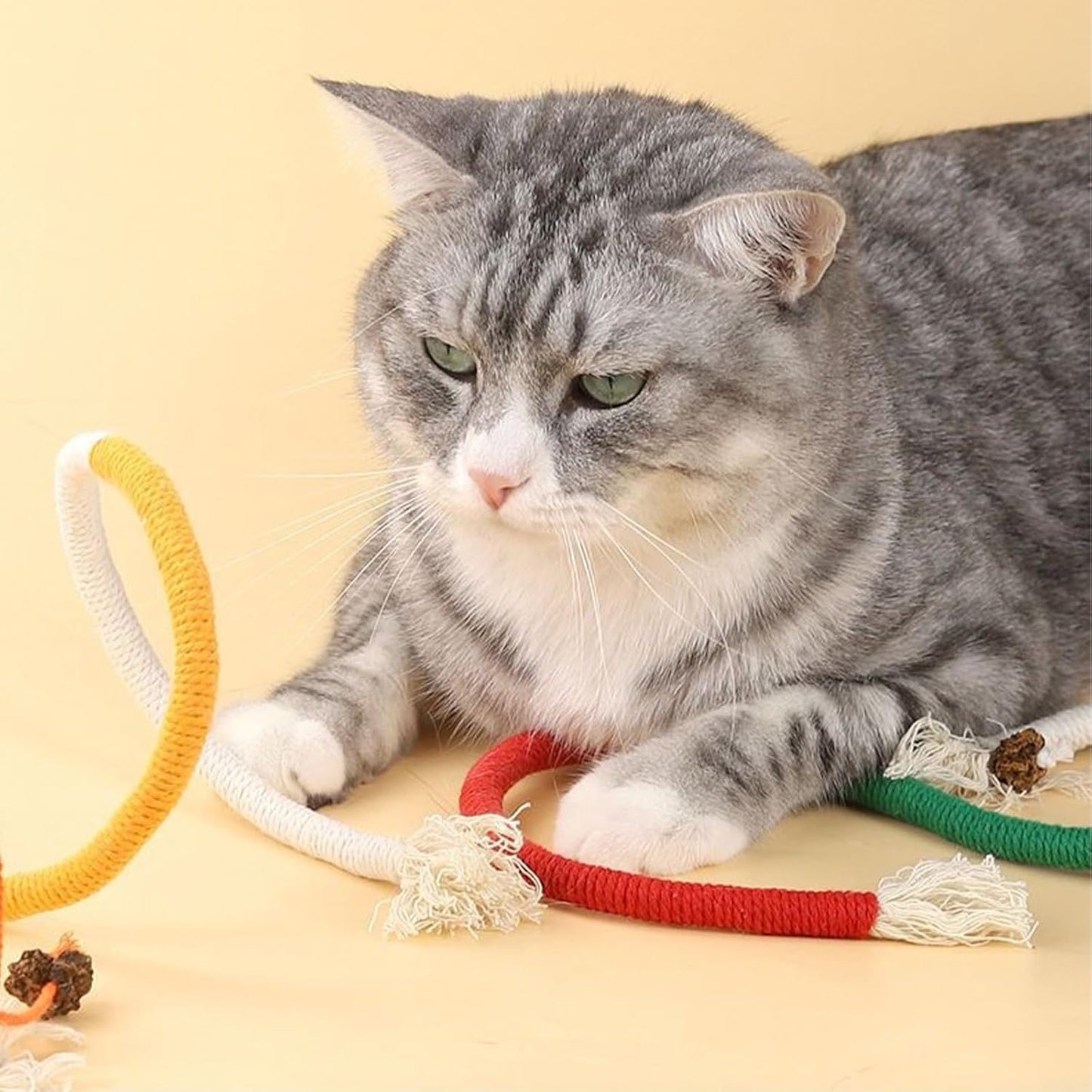 Pawbola Cat Chew Rope with Gall Fruit (3 Count)
