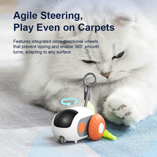 Pawbola Remote Control Chase Car Smart Cat Toy