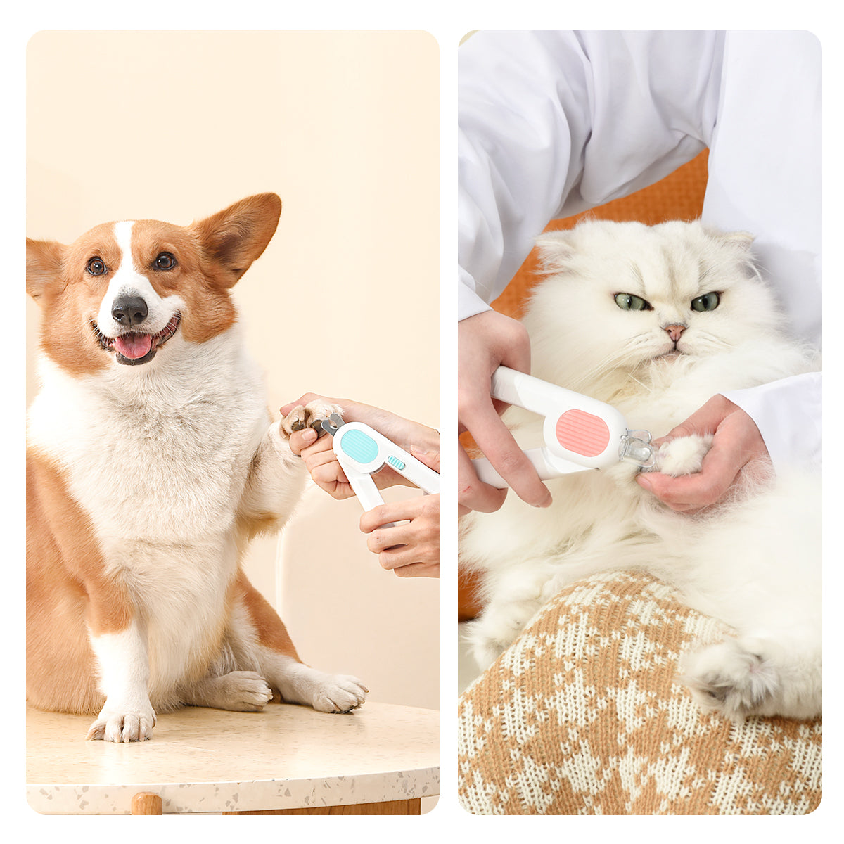 Pawbola Extra Large LED Light Cat Nail Clipper with Nail File