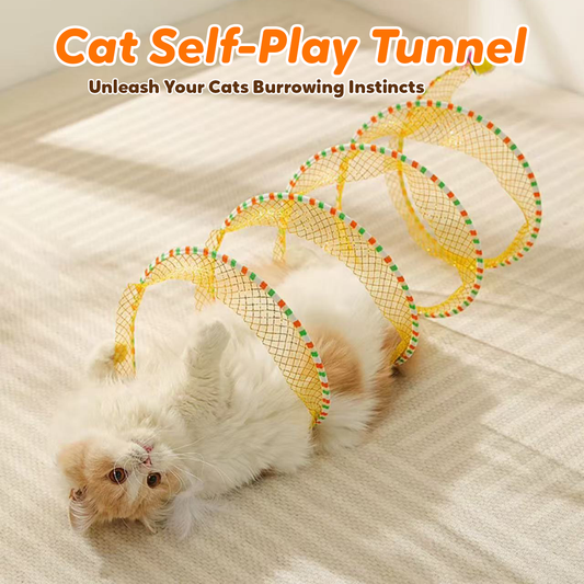 Pawbola Foldable Spiral Mesh Cat Tunnel Toy