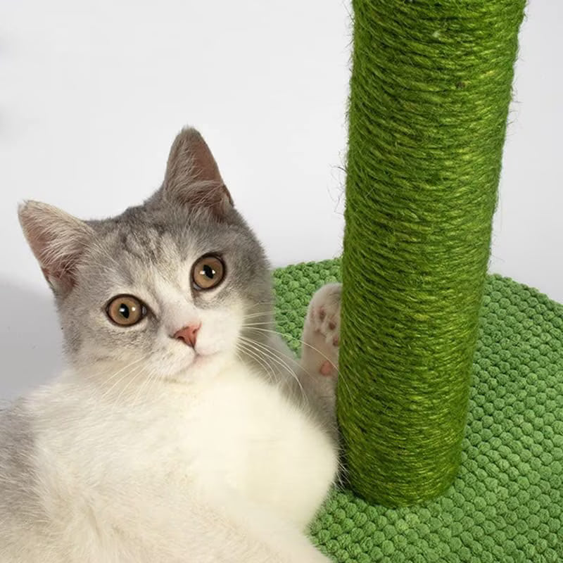 Pawbola Cactus Scratching Post